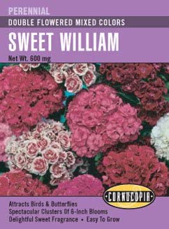 sweet william flower seeds Cornucopia Sweet William Double Flowered Mixed Color