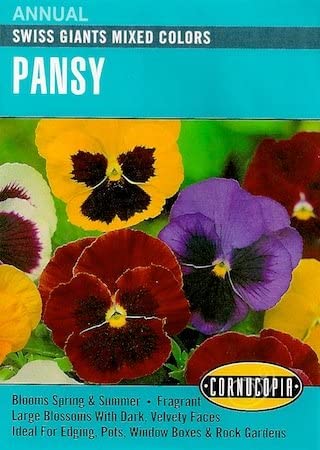 Cornucopia Pansy Swiss Giants Mixed Colors - 15070