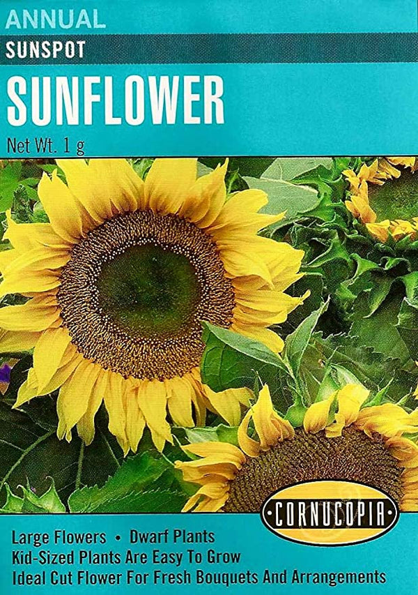 Cornucopia Sunflower Sunspot - 15090