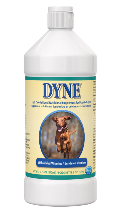 Dyne High Calorie Supplement for Dog - 14553