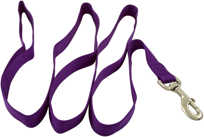 Jeffers 1"x6' Dog Lead Purple - 16275