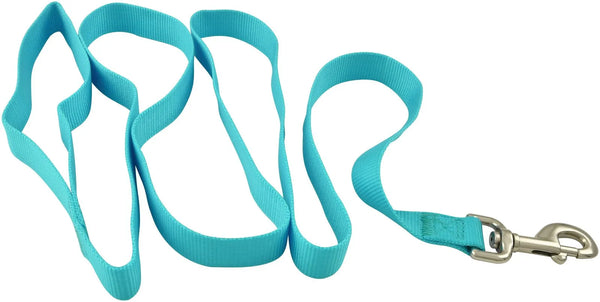 Jeffers 1"x6' Dog Lead Turquoise - 16273