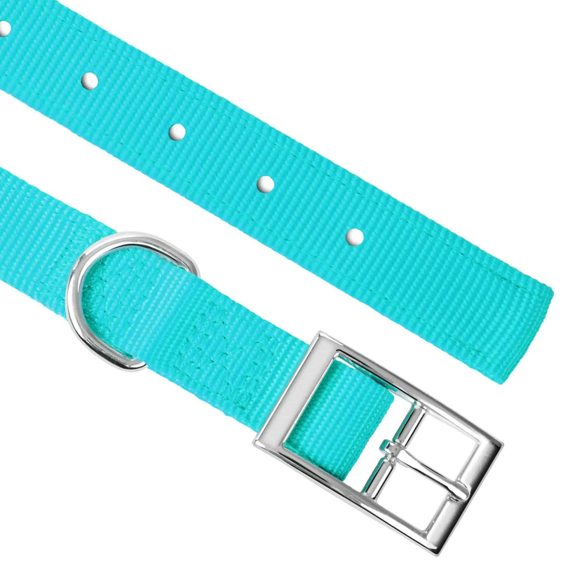 Jeffers 1"x16" Turquoise Collar - 16284