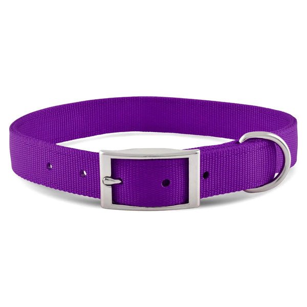 Jeffers 1"x18" Purple Collar - 16286