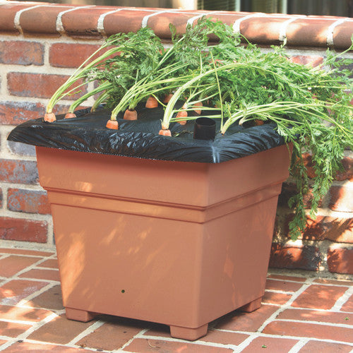 earthbox potting mix EarthBox Root & Veg Garden Kit Terracotta