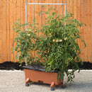 EarthBox Staking System Terracotta - 15284