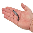 Berkley Gulp GASHPPS3-BSV - 16483