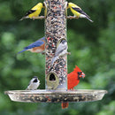 Cole's Titan Tray - 15819