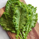 Florida Broadleaf Mustard Green (0.5 oz)