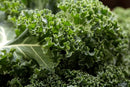 Kale (0.5 oz)