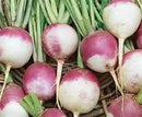 Purple Top Turnip Seed (0.5 oz)