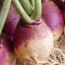 Rutabaga (0.5 oz)