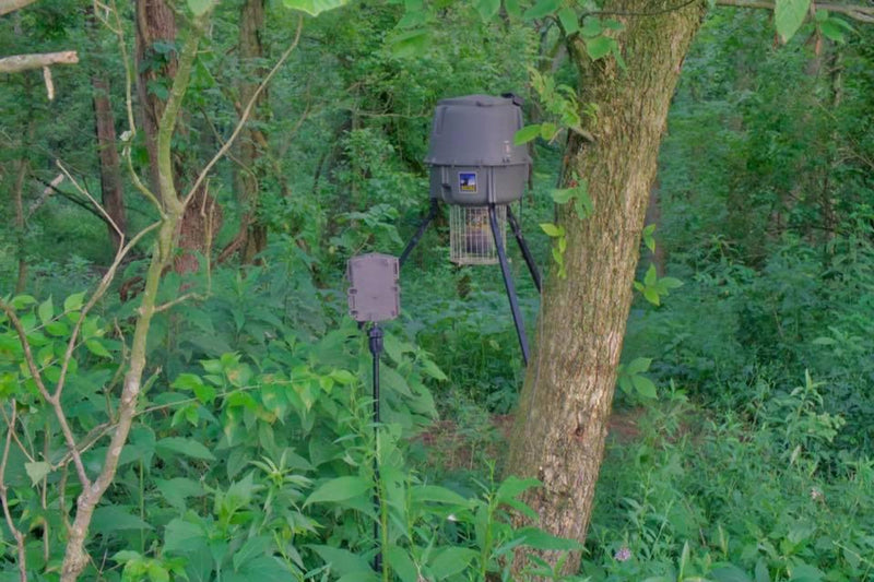 Hawk Camera Stakeout System - 13988