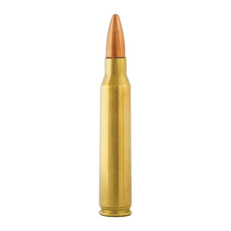 Aguila .223 Rem 300rd. 55gr. - 13667