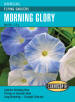 Cornucopia Morning Glory Flying Saucers - 15028