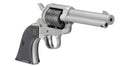 Ruger Wrangler .22LR Silver - 10030