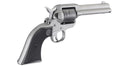 Ruger Wrangler .22LR Silver - 10030