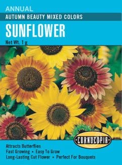 Cornucopia Sunflower Autumn Beauty Mixed Colors - 15085