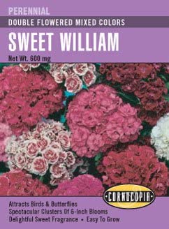 Cornucopia Sweet William Double Flowered Mixed Color - 15092