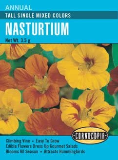 Cornucopia Nasturtium Tall Single Mixed Colors - 15048