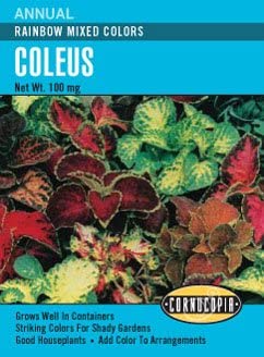 Cornucopia Coleus Rainbow Mixed Colors - 14999