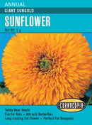Cornucopia Sunflower Giant Sungold - 15086