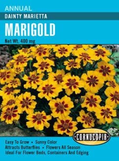 Cornucopia Marigold Heirloom Dainty Marietta - 15024