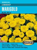 Cornucopia Marigold Lemondrop - 15025