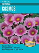 Cornucopia Cosmos Daydream - 15001
