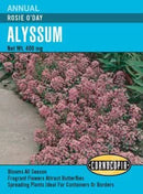 Cornucopia Alyssum Rosie O'Day - 14991