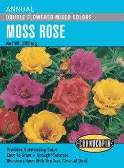 Cornucopia Moss Rose Double Flowered Mixed Colors - 15032