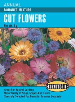 Cornucopia Cut Flowers Bouquet Mixture - 15006