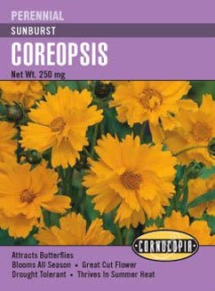 Cornucopia Coreopsis Sunburst - 15000