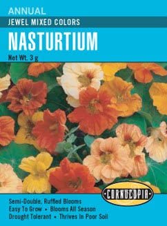Cornucopia Nasturtium Jewel Mixed Colors - 15037