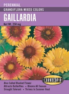 Cornucopia Gaillardia Grandiflora Mixed Colors - 15017