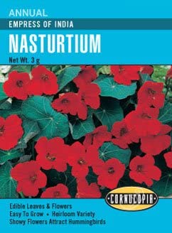 Cornucopia Nasturtium Empress of India - 15034