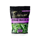 4s Forage Brassica - 14555