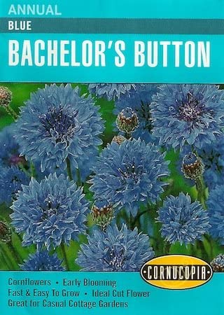 Cornucopia Bachelor's Button Blue Cornflowers - 14993