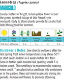 Cornucopia Marigold Lemondrop - 15025