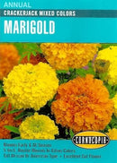Cornucopia Marigold Heirloom Crackerjack Mixed Colors - 15023