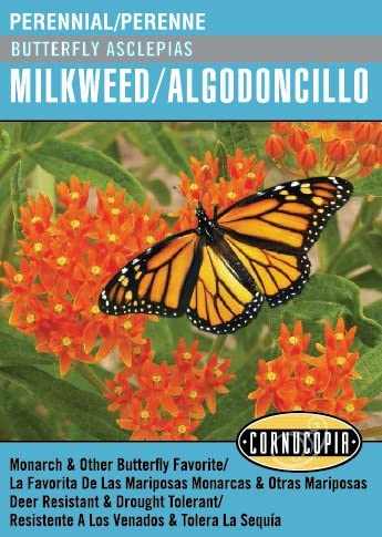 Cornucopia Butterfly Milkweed Heirloom Asclepias - 14994