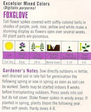 Cornucopia Foxglove Excelsior Mixed Colors - 15016
