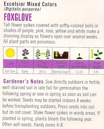 Cornucopia Foxglove Excelsior Mixed Colors - 15016