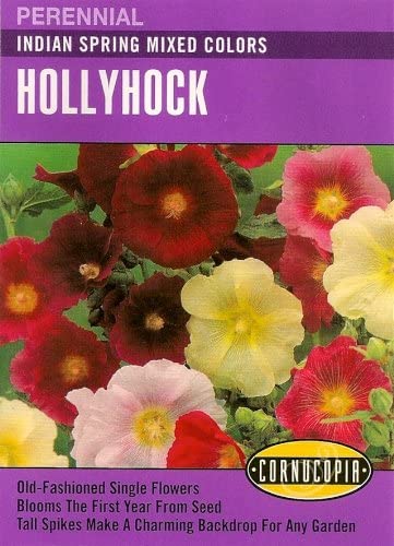 Cornucopia Hollyhock Indian Spring Mixed Colors - 15019