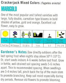 Cornucopia Marigold Heirloom Crackerjack Mixed Colors - 15023