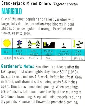Cornucopia Marigold Heirloom Crackerjack Mixed Colors - 15023