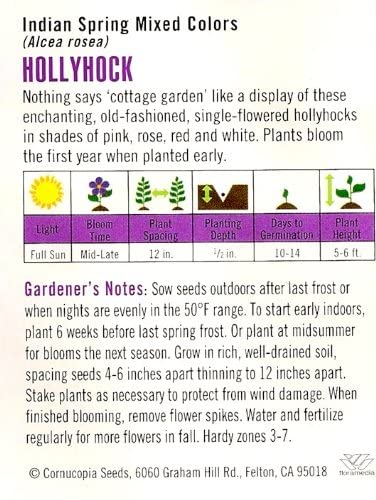 Cornucopia Hollyhock Indian Spring Mixed Colors - 15019