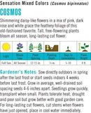 Cornucopia Cosmos Sensation Mixed Colors - 15005