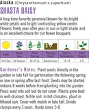 Cornucopia Shasta Daisy Alaska - 15012