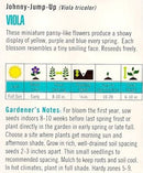 Cornucopia Viola Johnny-Jump-Up - 15095